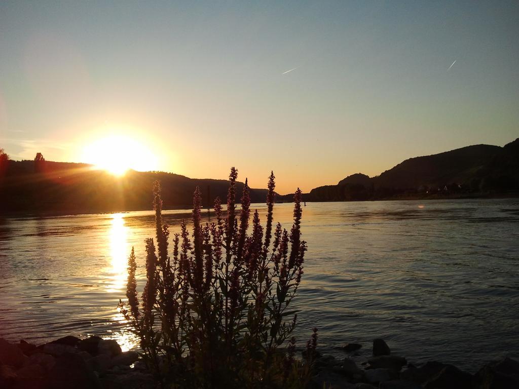Fe Wo Am Alten Rathaus Andernach Cameră foto